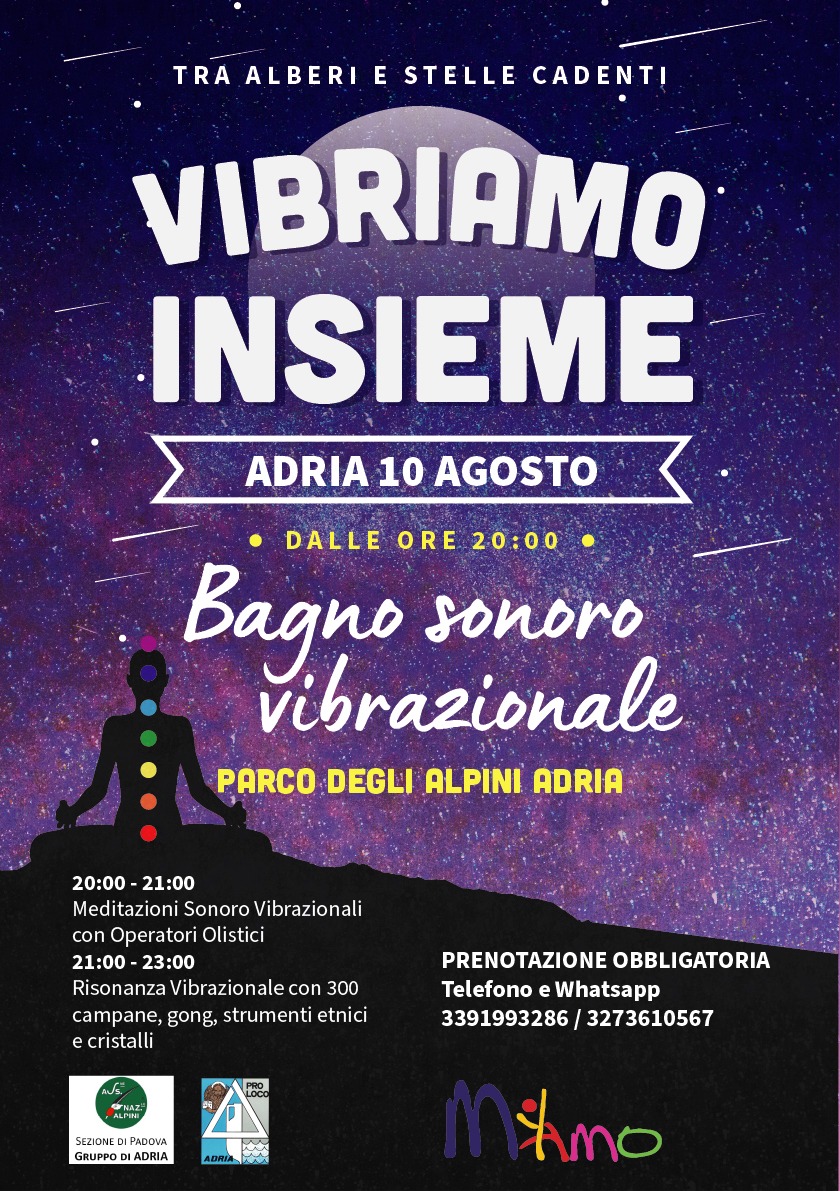 Read more about the article Vibriamo Insieme