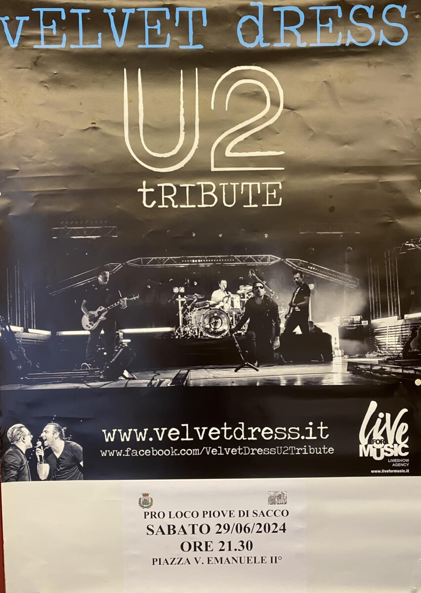 Read more about the article Velvet Dress – U2 Tribute Band