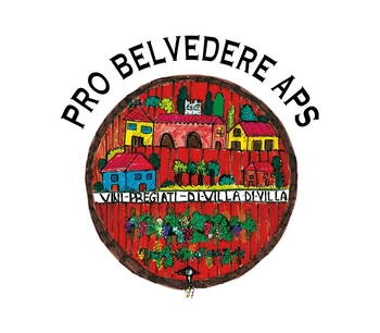Read more about the article Pro Belvedere