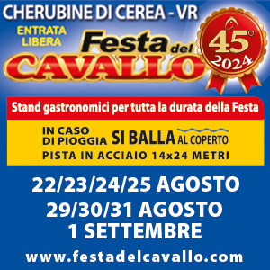 Read more about the article 45^ Festa del Cavallo a Cherubine di Cerea