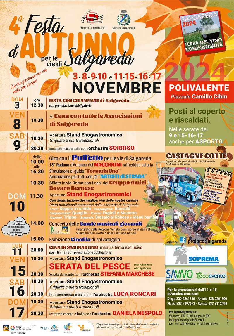 Read more about the article Festa d’Autunno 2024 per le vie di Salgareda