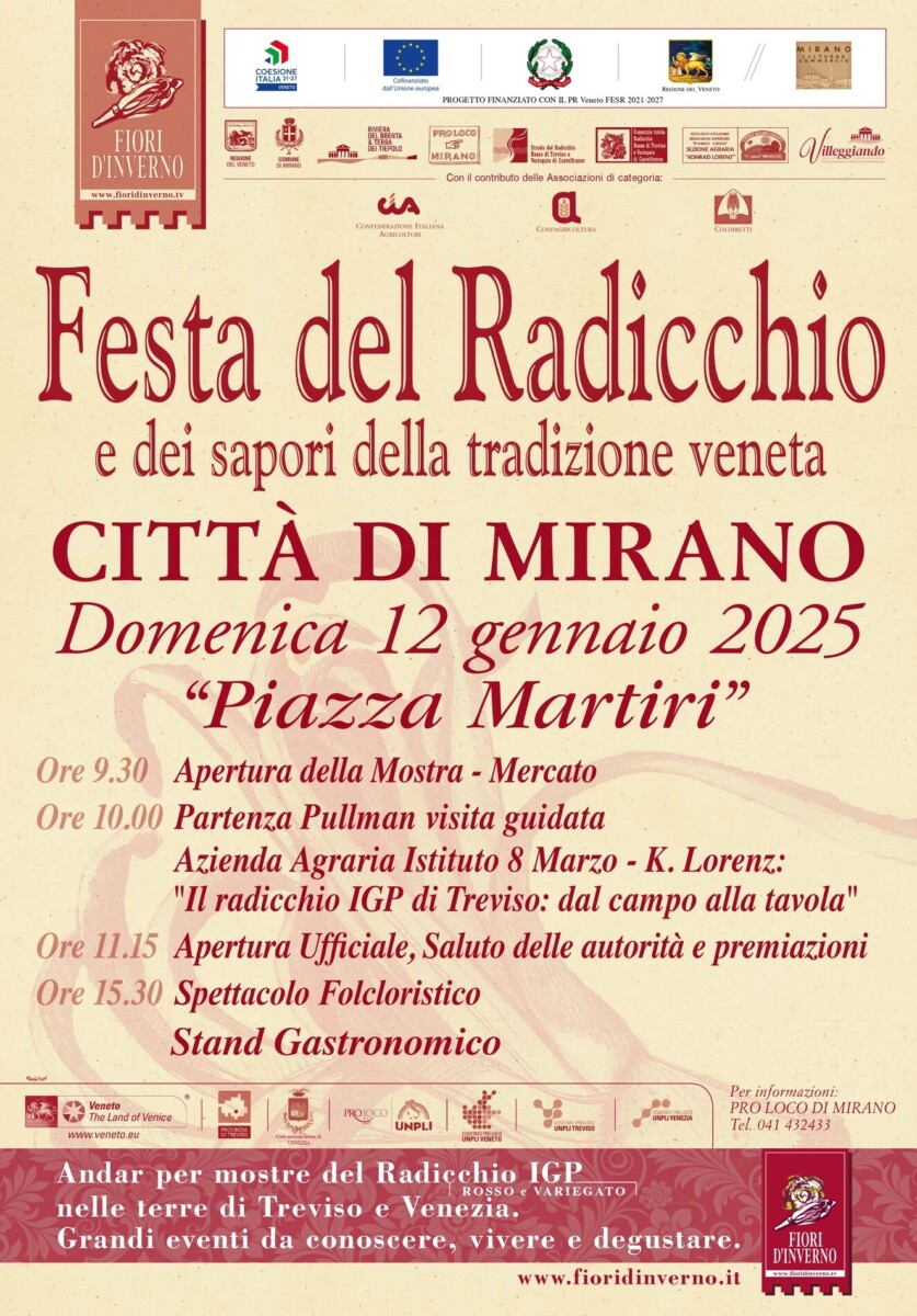 Read more about the article Festa del Radicchio – Mirano